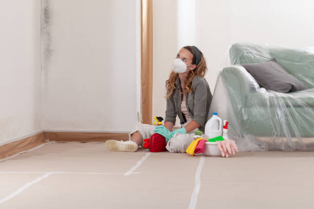 Reliable Black Mold Remediation contractor in Middlesex, NC by Mold Remediation HQ